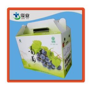 Specialized Fruit Corrugated Packaging Boxes, Printing Paper Box