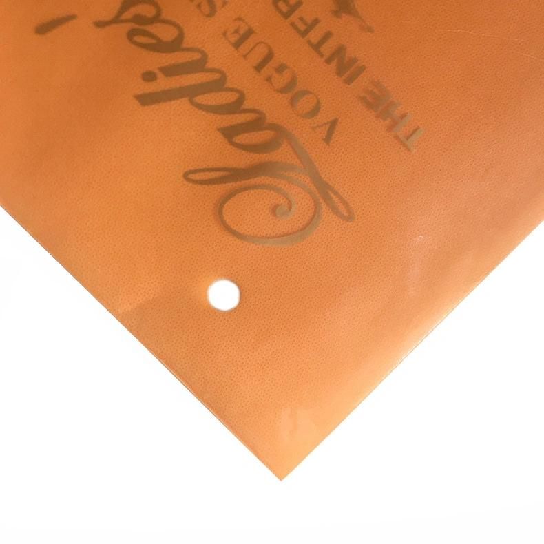 Custom Logo Poly Bag PE CPE Plastic Packaging Bag with Zipper for Clothing