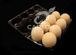 2X4 Plastic Egg Tray