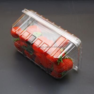 Disposable Clear Pet 500g Plastic Fruit Clamshell