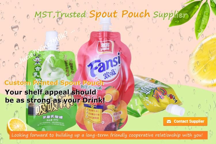 Custom Printed Doypack Stand up Pouch with Spout Wholesale in China