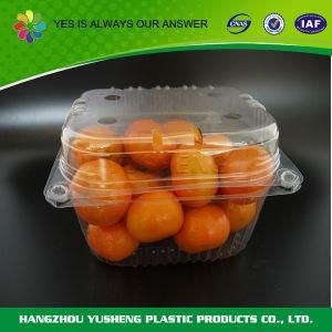 Disposable Food Storage Packing Container for Fruit