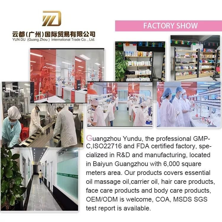 Custom Printing Foot Cream Bb Cream Cosmetic Tube Empty Plastic