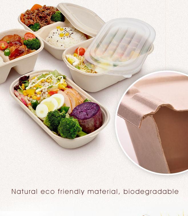 Disposable Food Container Packaging Box Biodegradable Paper/Packing/Storage/Packaging/Lunch Box Sugarcane Bagase 850ml 1000ml