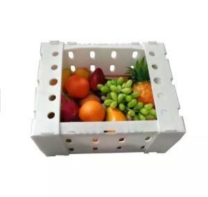China PP Plastic Hollow Package Fruit Vegetable Box Cartons