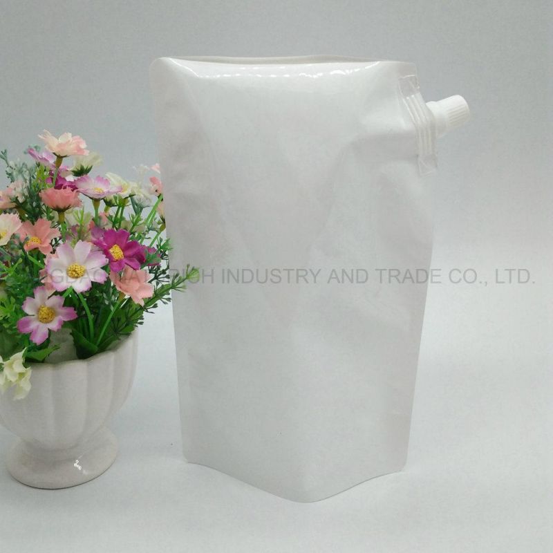 Foldable Water Stand up Pouch with Spout 1 Gallon or Custom 5L 3L 2L 1L 500ml 200ml 150ml