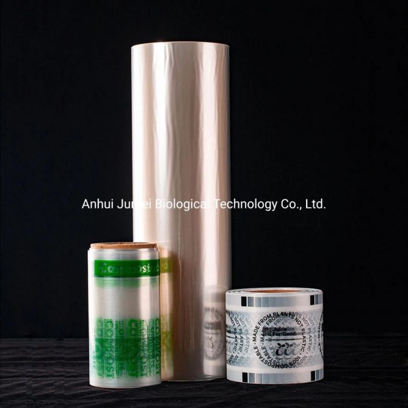 Biodegradable Garment Bags PLA Pbat Compostable Garment Packaging Bags