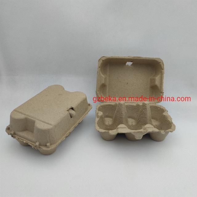 6 Holes Eco Friendly Egg Carton Biodegradable Pulp Egg Tray with Lid Recycled Egg Box