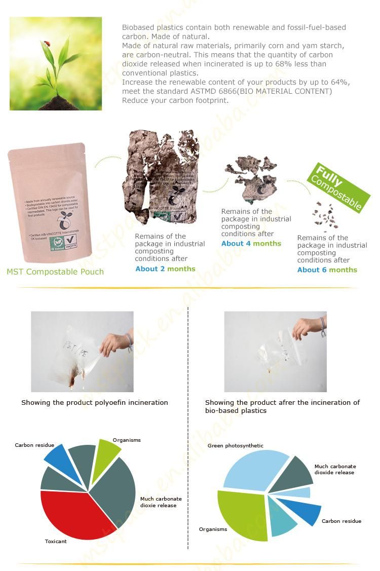 100% Compostable Bio Degradable Flat Box Bottom Plastic Coffee Tea Packaging Bag