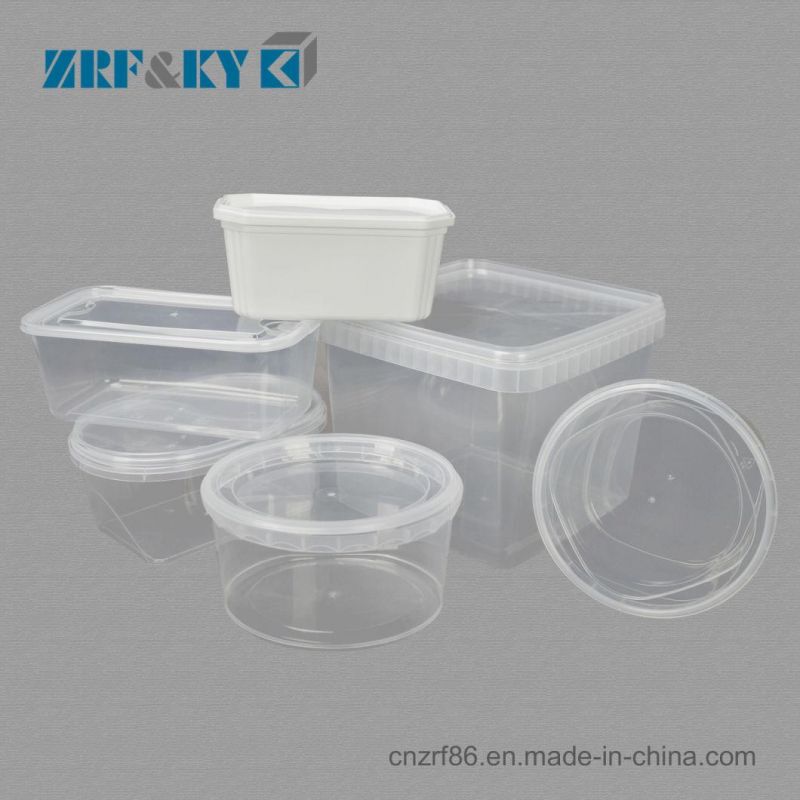 Free Sample Custom Take Away Disposable Transparent PP Plastic Food Containers with Lid Box