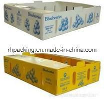 PP Corflute Correx Coroplast Plastic Box for Fruits and Food in Supermarket with Cutting Die/Printing