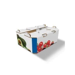 Cheap Price Fruit Carton Packaging Box with Fruit Picture