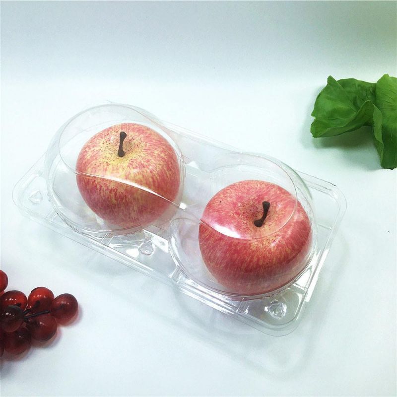 Plastic Food Fruit Packaging with Lid