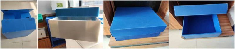 High Rigidit Blue Recyclable Eco-Friendly Chemical Resistant Coroplast PP Corrugated Packing Box Ultrasonic Binding Plastic Corrugated Storage Box with Lid