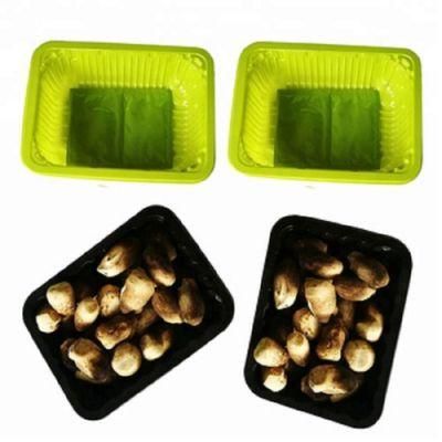 Fresh Food Biodegradable Packing Box for Mushroom PP Plastic Tray
