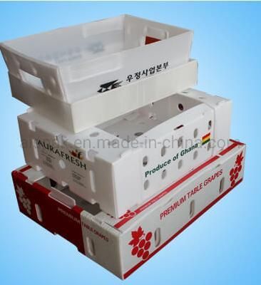 Folding Coroplast Corrugated Plastic Cartons