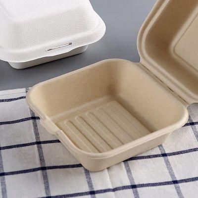 Paper Box Bagasse Sugarcane Food Box for Sandwich Burger Cake Lunch