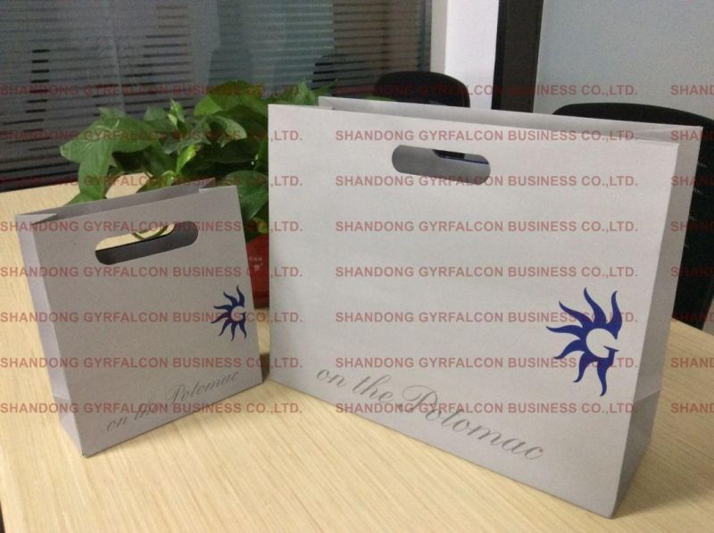 High Quantity Shopping Paper Bag for Clothing/Gift/Shoes/Jewelry/Festival Usage