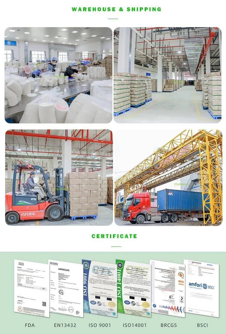 Customized Biodegradable Sugarcane Bagasse Pulp Molded Cosmetic Lining