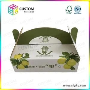 Fruit and Vegetable Packing Carton Box