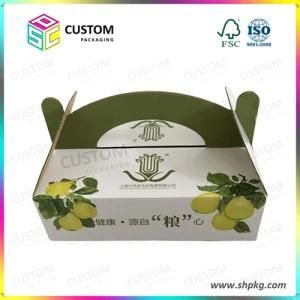 Fruit and Vegetable Packing Carton Box