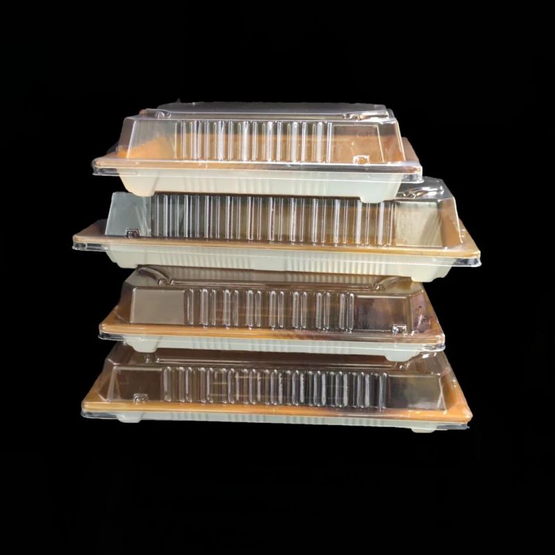 Set of Four Sushi Packaging Boxes Sushi Tray With Lid