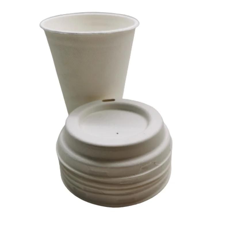 Custom Logo Printed Biodegradable Drinking Cups with Cup Lids