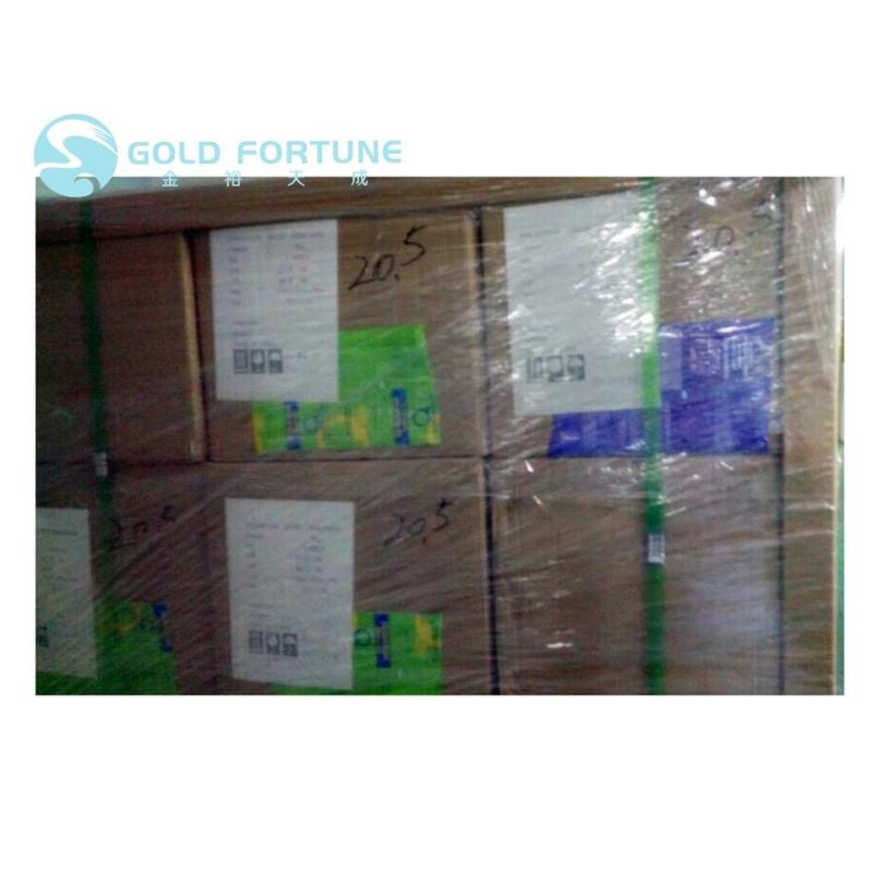 Customized Cosmetic/ Food Packing Plastic Foil/Film GMP