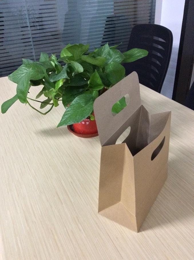 100% Biodegradable Kraft Paper with Custom Logo Printed Paper Bag