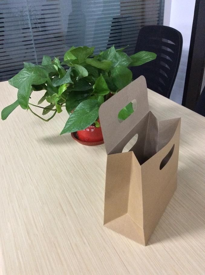 100% Biodegradable Kraft Paper with Custom Logo Printed Paper Bag