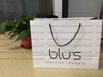 Art Paper Bag with Logo Glossy Lamination for Clothing/Gift/Shoes/Jewelry/Festival