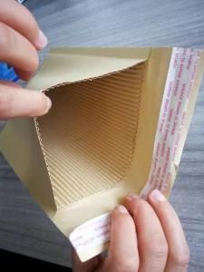 Corrugated Paper Mailer