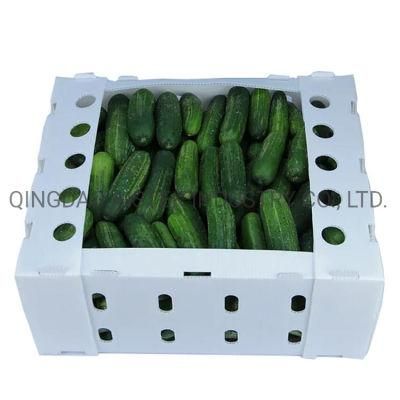 Folding Corrugated Plastic Coroplast Box