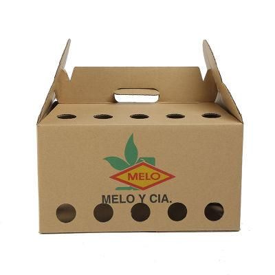 Manufacturer Customized Hard Corrugated Box Shipping Carton with Printed Logo