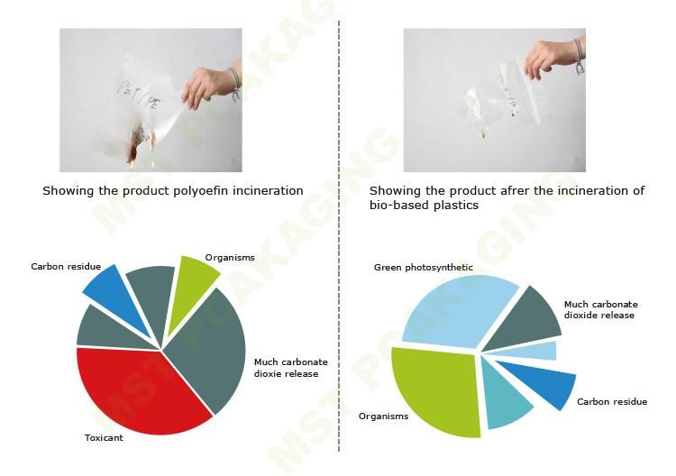Custom Recyclable Stand up Packaging Bag for Food
