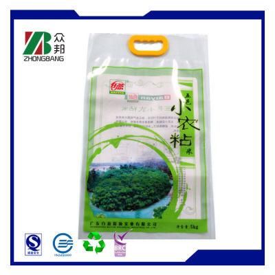 Custom Printed Plastic Food Packaging Bag for Rice with Handle