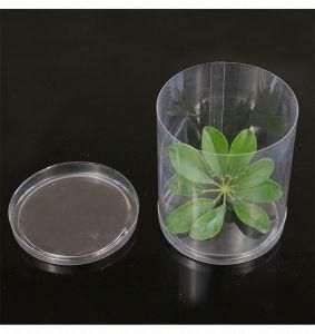 Transparent Plastic Cream Jars for Cosmetic Packing Plastic Jar Plastic Bottle