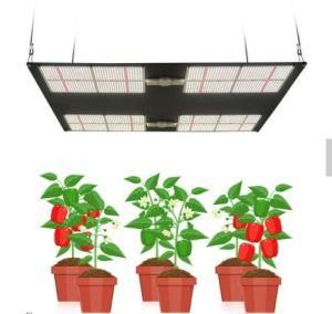 WiFi Control LED Grow Light Outdoor and Indoor Plants Hydroponic Light
