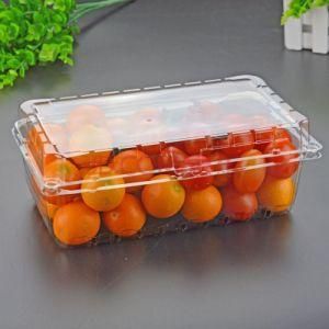 Diodegradable Supermarkets Fresh Food Fruits Packing Disposable Plastic Blister Clamshell Box