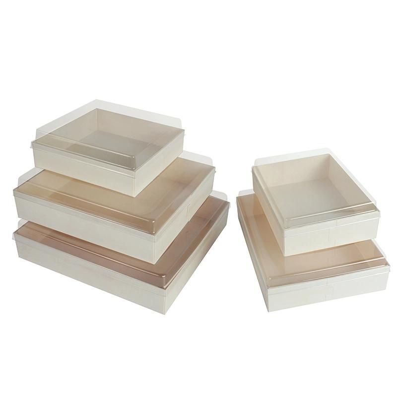 Wholesale Japanese Food Sishu Container Package Box Pet Cover Plastic Tray Fast Food Container