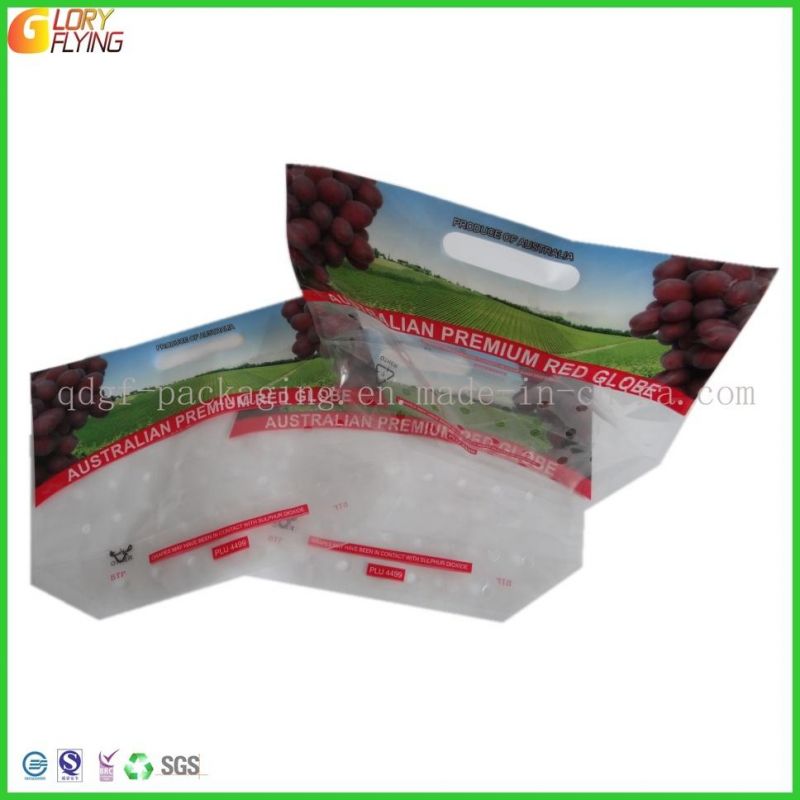 Fresh Vegetable and Fruit Food Packaging Bag with Flap and Perforation.