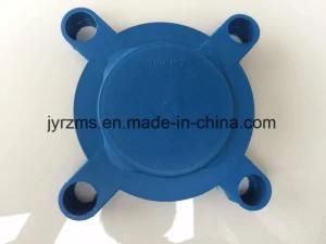 Top Sell Plastic Covers for Stainless Flange