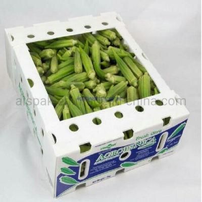 Polypropylene Plastic Corrugated Coroplast Box for Packing