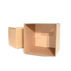 Custom Shipping Express Packaging Corrugated Paper Carton Box