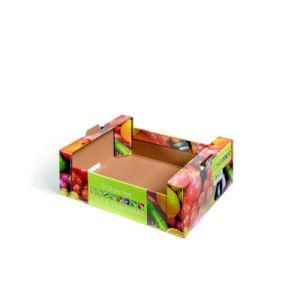 OEM Recyclable Big Banana Carton Box with Promotion 5% Discount