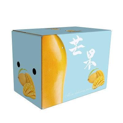Custom Printing Disposable Food Packaging Color Corrugated Gift Paper Box