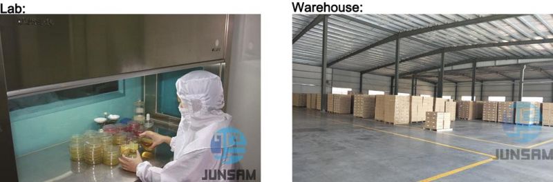 High Quality Aluminum Tube Packaging 100, 000 Grade Cleaning Workshop Price