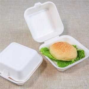 Compostable Square Salad Packaging Bowls 6&quot; Hamburger Box