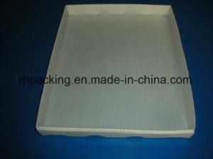 PP Plastic Two Wall Tray/ Two Color Printing/Cutting Die/White PP Corflute/Correx/Coroplast 2mm 3mm