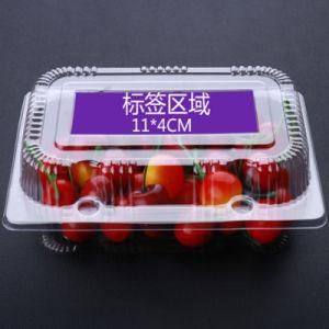 Plastic Container Fruit Packaging